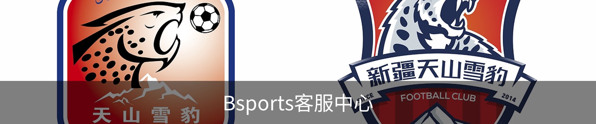 Bsports客服中心